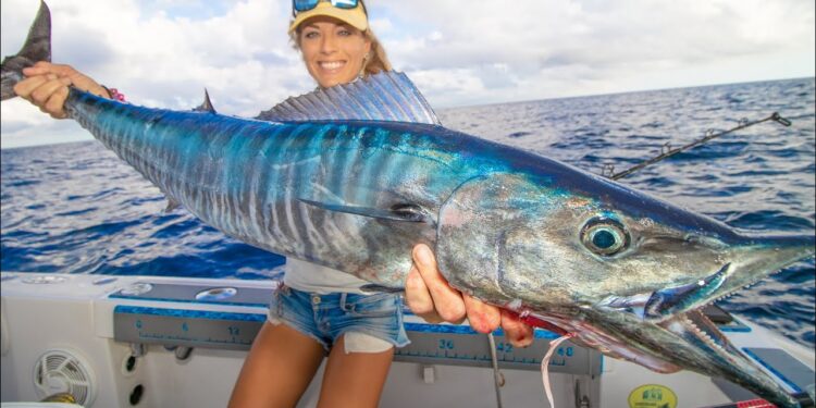 Two beautiful loins! Happy Thanksgiving WAHOO caught offshore Florida