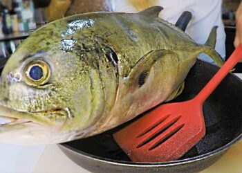 Ultimate TRASH Fish Taste Test! Jack Crevalle Catch and Cook!