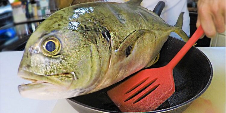 Ultimate TRASH Fish Taste Test! Jack Crevalle Catch and Cook!