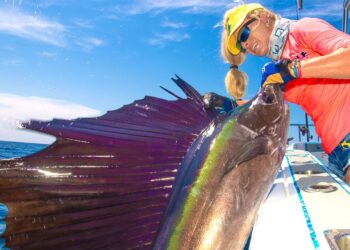 Unexpected SURPRISE CATCH! Giant BILLFISH Behind Our Boat! Deep Sea Sailfish- Stuart Florida Fishing