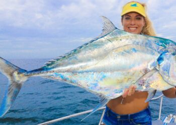 Unexpected TROPHY FISH Catch! Giant African Pompano Caught Florida Wreck Fishing, Catch Clean Cook