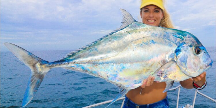 Unexpected TROPHY FISH Catch! Giant African Pompano Caught Florida Wreck Fishing, Catch Clean Cook