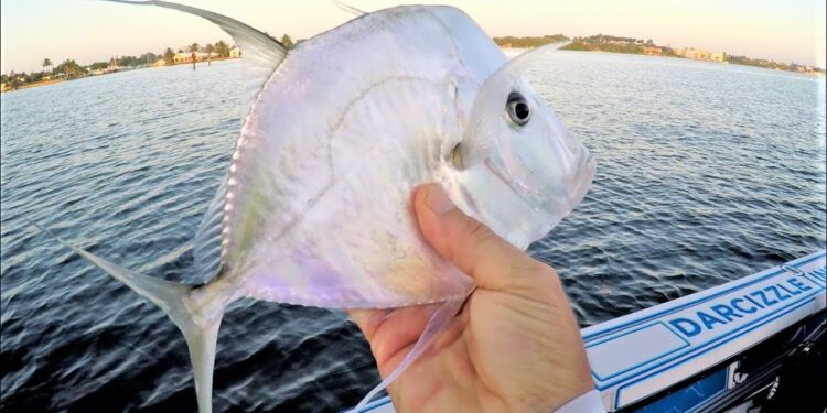WEIRD Fish Caught Unexpectedly in Florida