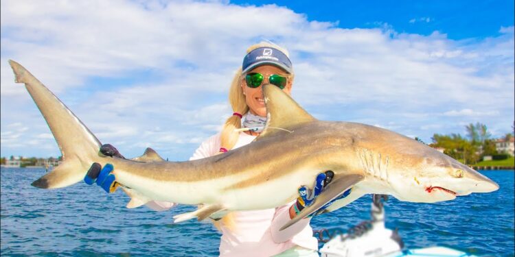Wagered an EIGHT YEAR Friendship on this SHARK! Florida Inshore Fishing Video!