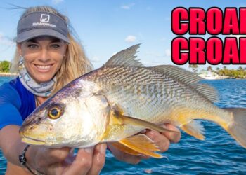 We ATE a Popular Saltwater BAIT FISH! Catch Clean Cook- CROAKER!