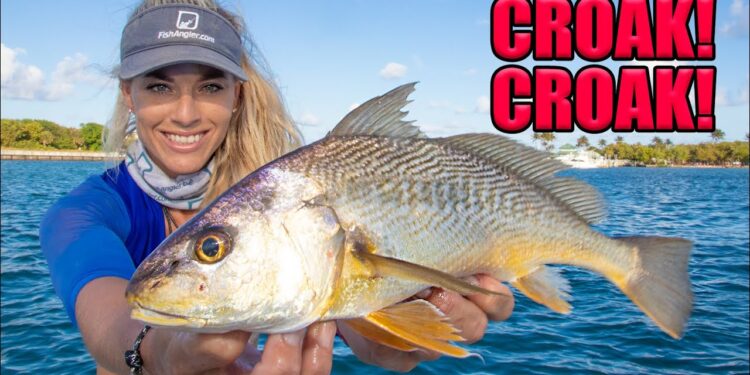 We ATE a Popular Saltwater BAIT FISH! Catch Clean Cook- CROAKER!