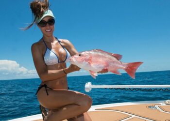 West coast Florida RED SNAPPER FISHING Madness! part 1