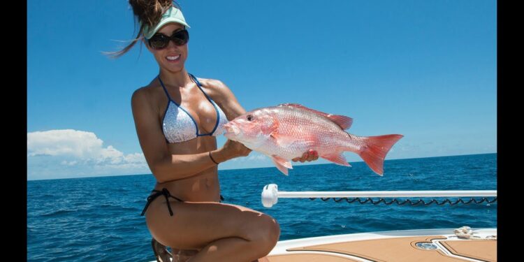 West coast Florida RED SNAPPER FISHING Madness! part 1