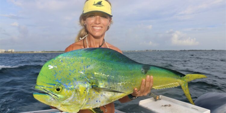 Deep Sea Fishing for Mahi Mahi in Florida with Darcie GoPro Video