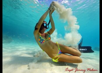Diving & exploring the beautiful waters of the Caribbean