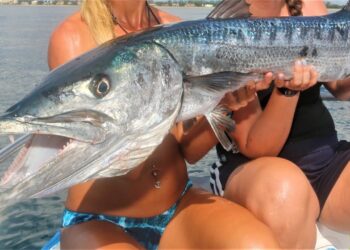 Dropping MASSIVE Baits for Deep Sea WRECK GIANTS!