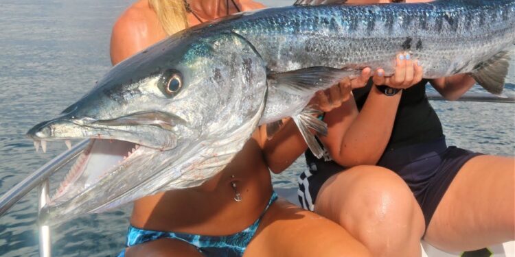 Dropping MASSIVE Baits for Deep Sea WRECK GIANTS!