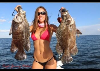 Fishing with Luiza catches tripletail with 3 other hooks in its belly