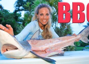 How to Catch, Clean & Cook BLACKTIP SHARK!