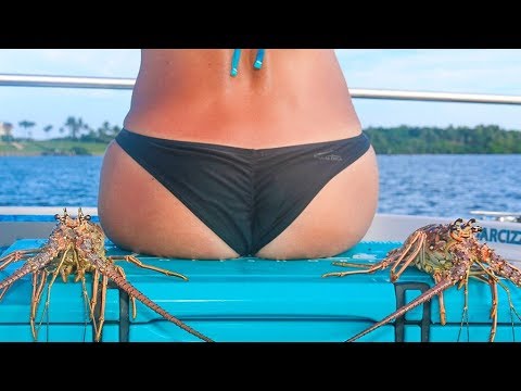LOBSTER Catch Clean Cook! GRILLING Lobster Tails on BBQ!