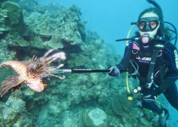 Shooting lionfish while scuba diving in the Caribbean