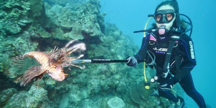 Shooting lionfish while scuba diving in the Caribbean