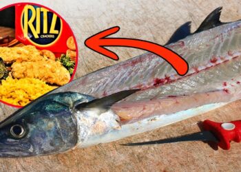 Super SIMPLE! Catch Clean Cook- Cracker Encrusted Florida Kingfish