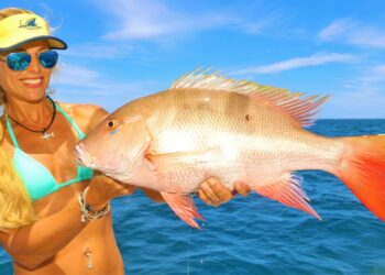 BEST DAY EVER! Deep Sea MUTTON SNAPPER Fishing & Mahi Mahi!