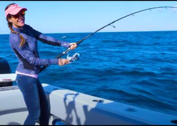 BIG FISH on JIGS