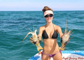 Catching LOBSTER in the Florida Keys