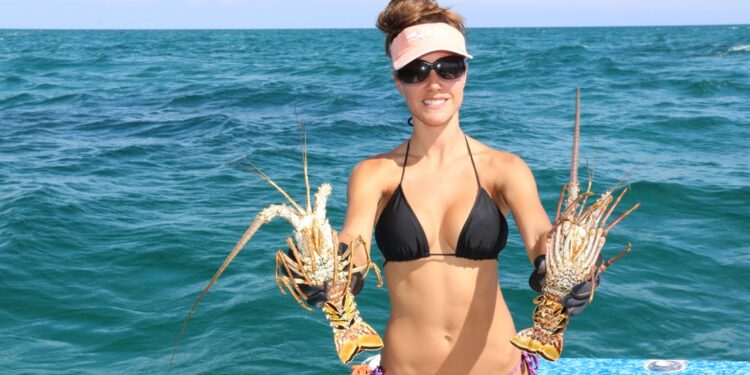 Catching LOBSTER in the Florida Keys
