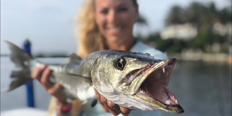 Catching MONSTER BARRACUDA Deep Sea Fishing with Fans!