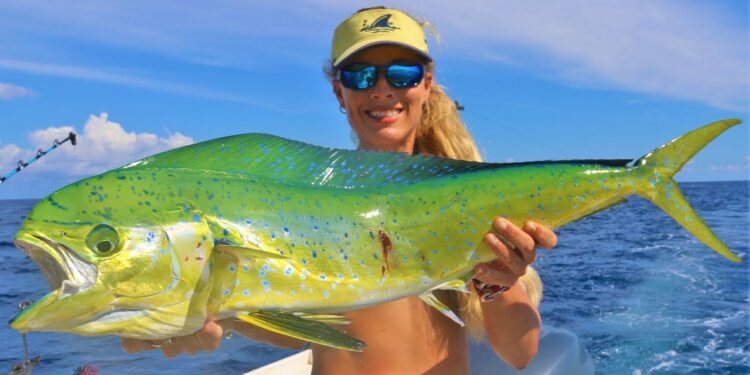 Catching the MOST BEAUTIFUL Fish in the Deep Sea!