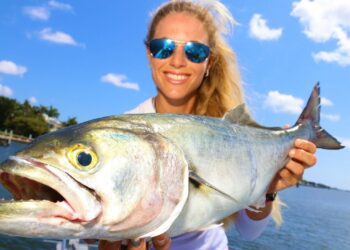 DEEP SEA Fishing in ROUGH Seas + Bluefish Surprise Catch!