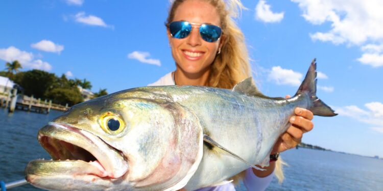 DEEP SEA Fishing in ROUGH Seas + Bluefish Surprise Catch!