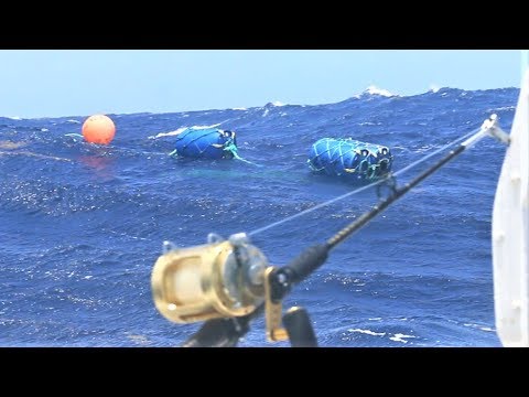 FOUND a LOST Fish Aggregating Device Deep Sea Fishing in Antigua! TONS of Fish On It!