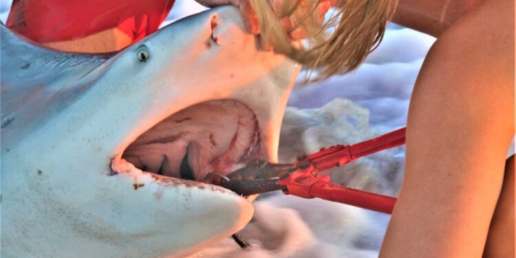 Girls SHARK FISHING with ELLIOT SUDAL the Shark Wrangler!