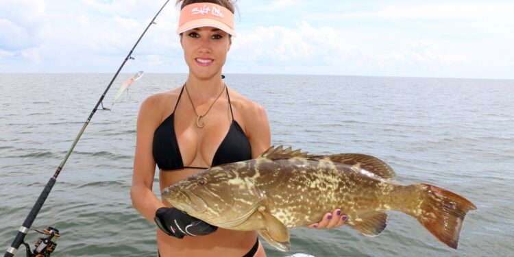 Grouper fishing in Florida