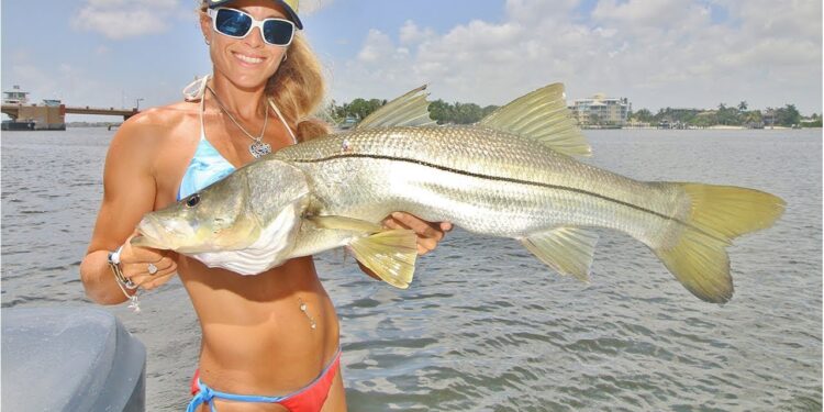 How To Catch Fish & the Best Tackle for Inshore Saltwater Fishing Video