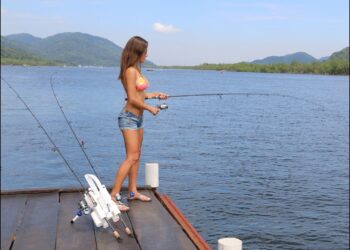 Luiza introduces the new Rod-Runner Express