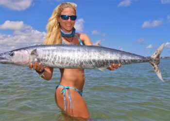 Offshore WAHOO Fishing and Sandbar Party Video