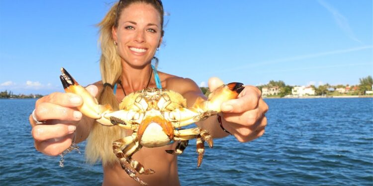 Saving 1,000 Baby STONE CRABS! Crabbing in Florida!