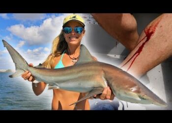 When Fish ATTACK Fishermen! Inshore SHARK Fishing!