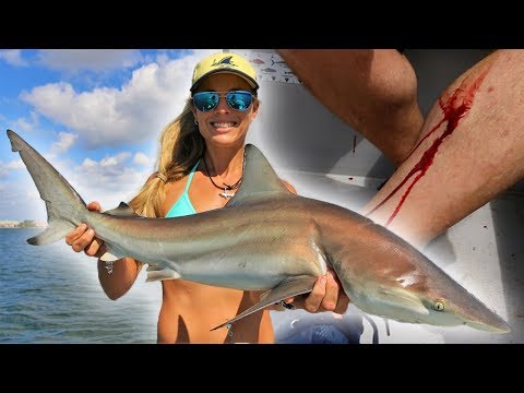 When Fish ATTACK Fishermen! Inshore SHARK Fishing!