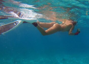 BAHAMAS Underwater