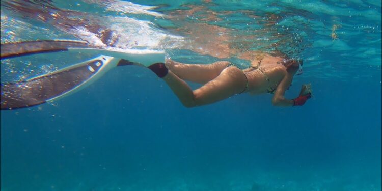 BAHAMAS Underwater