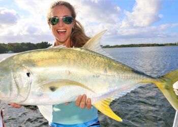 Catching MONSTER JACKS with Huge Shark Baits Inshore Fishing!