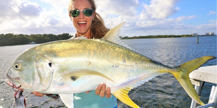 Catching MONSTER JACKS with Huge Shark Baits Inshore Fishing!