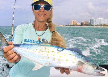 Deep Sea Fishing for SPANISH MACKEREL & More!