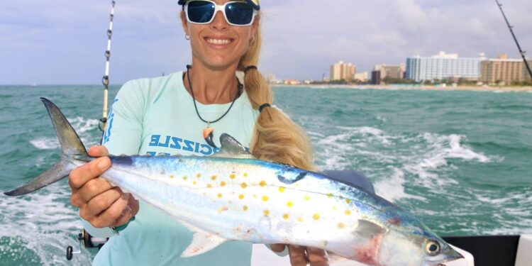 Deep Sea Fishing for SPANISH MACKEREL & More!