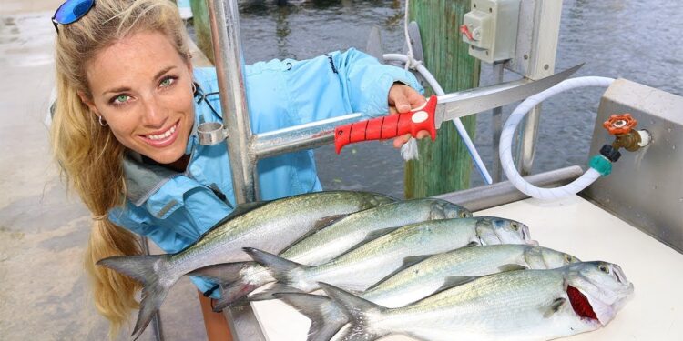 Florida Inshore Fishing CATCH, CLEAN & COOK Bluefish!