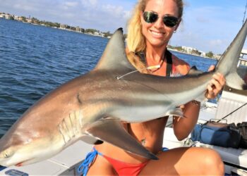Inshore Blacktip Shark Fishing! First SHARK TAGGING Expedition!