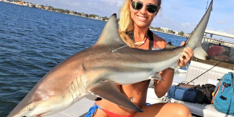 Inshore Blacktip Shark Fishing! First SHARK TAGGING Expedition!