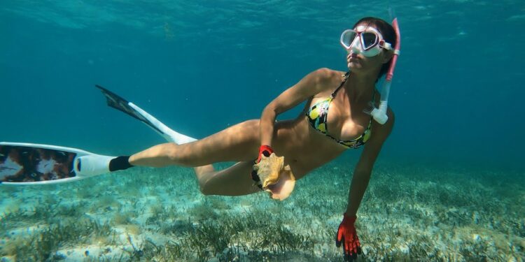 Lobster & Conch of the BAHAMAS