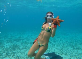 Lobster and Conch of the BAHAMAS| Pt2 Preview